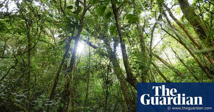 Why Costa Rica beats Britain in the conservation stakes | Letters