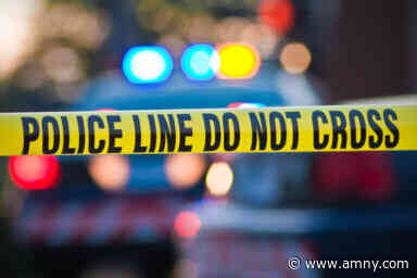 Cops seek assailant behind fatal Bronx stabbing