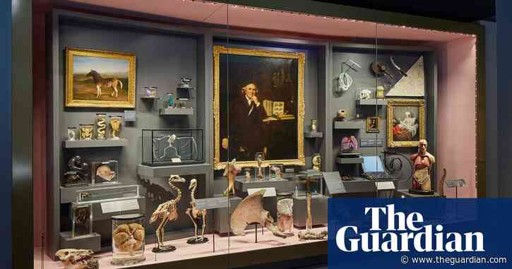 Tooth transplants and pickled penises: inside the revamped Hunterian
