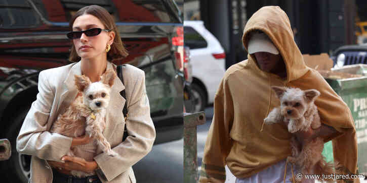 Hailey & Justin Bieber Bring Their Dogs Out in New York City