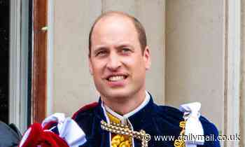 EPHRAIM HARDCASTLE: Pressure mounts on Prince William to accept Honours of Wales