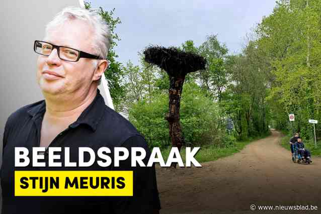 Stijn Meuris over het beeld van de week: Eikes