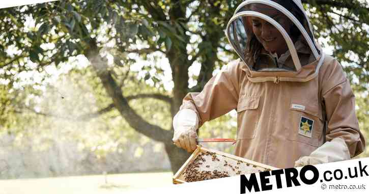Smiling Kate Middleton ‘buzzing’ for World Bee Day in sweet new photo