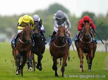 Rocket Rodney shoots for glory in Westow Stakes