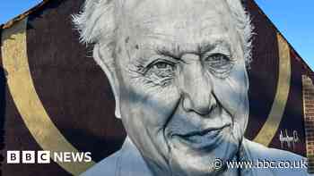 Sir David Attenborough mural painted on building