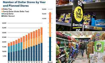 American brands creating discount shelve variations amid recent popularity of dollar stores