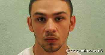 Thug jailed for life for murder of schoolboy Jimmy Mizen could be set free from prison