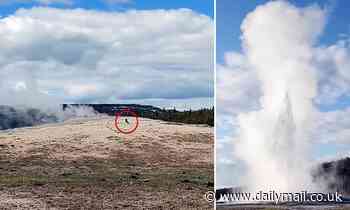 Clueless Yellowstone National Park tourist is almost scalded by Old Faithful