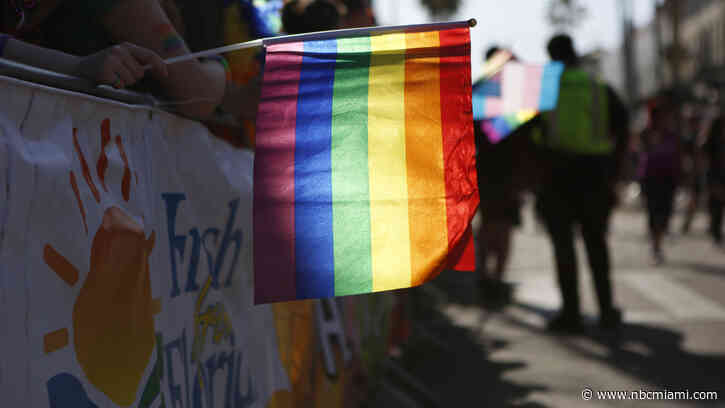 Largest US Gay Rights Group Latest to Issue Florida Travel Advisory