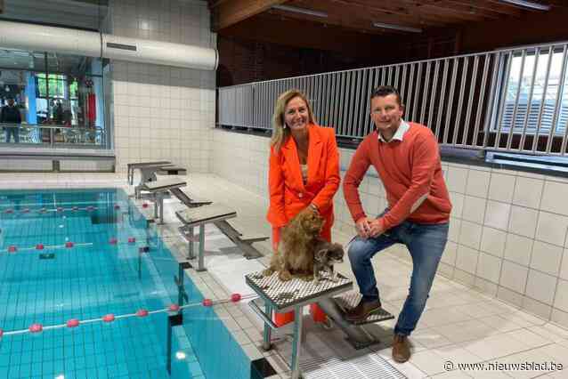 Gemeente laat voor de definitieve sluiting van het zwembad ook nog honden genieten: “Belangstelling nog groter dan het nochtans verwacht succes”
