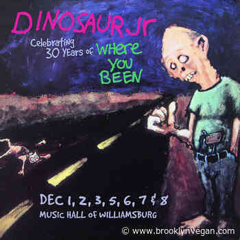 Dinosaur Jr 'Where You Been' Brooklyn shows on BrooklynVegan presale (password here)