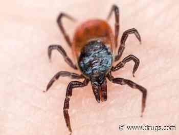 Tick-Borne Powassan Virus Can Kill. What Is It, and How Can You Protect Yourself?