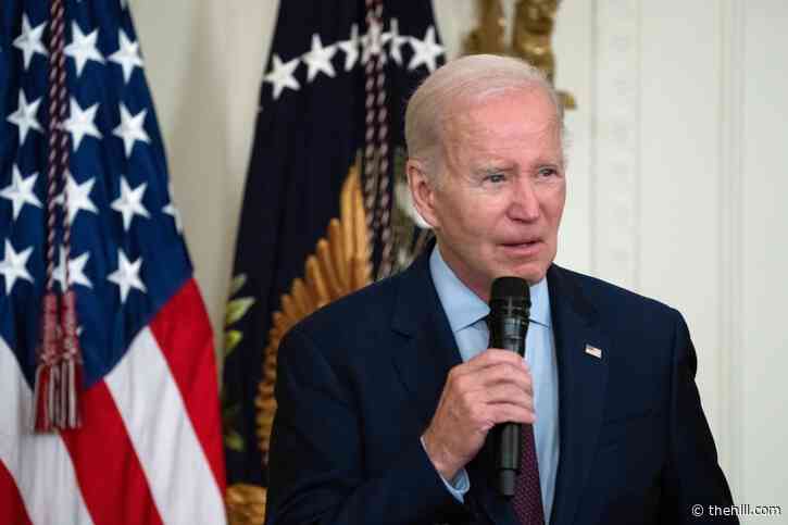 Civil rights groups to Biden: 'Take all actions within your authority' to protect undocumented immigrants