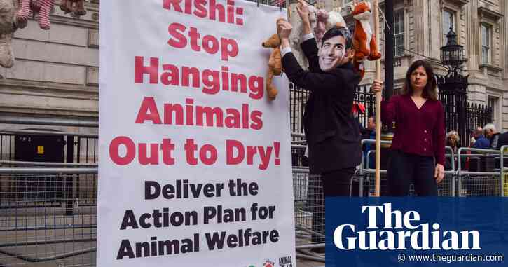 Tories accuse Sunak of breaking pledge after animal welfare U-turn