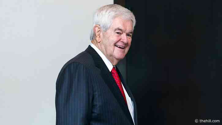 Newt Gingrich 'moderately optimistic' on where debt limit talks sit: 'But it’s not done yet'