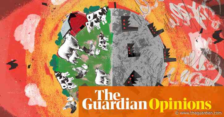 ‘Farming good, factory bad’, we think. When it comes to the global food crisis, it isn't so simple | George Monbiot