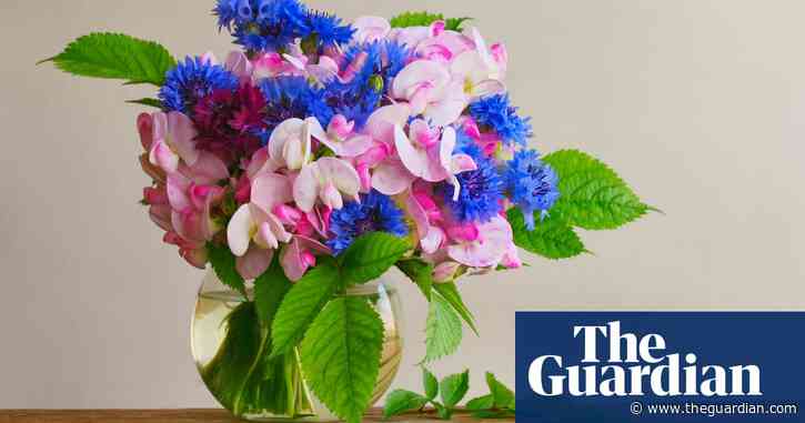 Say it with flowers – just make sure you know where they came from | Alice Vincent on flowers