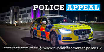 Witness appeal after car stolen in Portishead