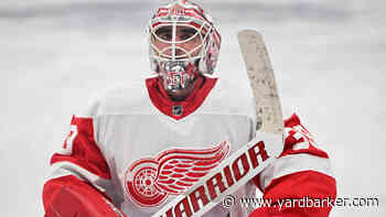 Red Wings Review: Alex Nedeljkovic’s Future