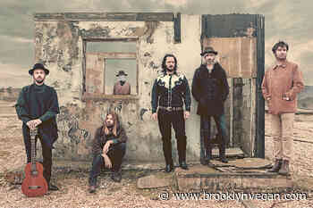 The Coral announce 2 new albums, share "Wild Bird"