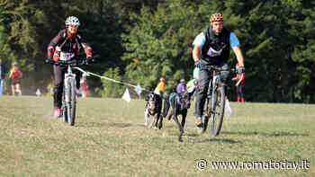 Bikejoring: cos’è, come si pratica e quali sono i benefici