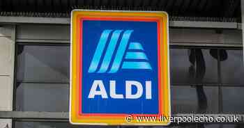 Aldi's Specialbuy pool that's 'great value for money' is finally back