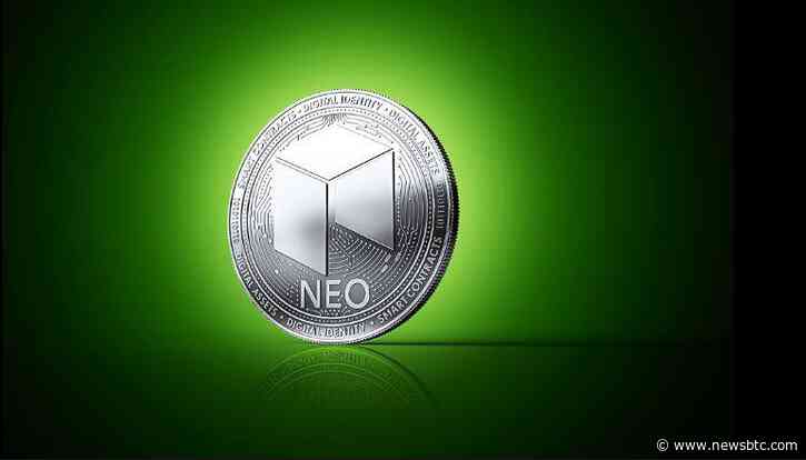 NEO Token Surges 10% In The Past 24 Hours – Here’s Why