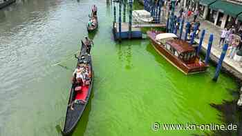 Grünes Wasser in Venedig: Schimmernde Flüssigkeit breitet sich Canale Grande aus