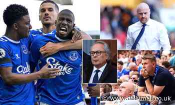 Farhad Moshiri must understand Everton's survival wasn't a magic wand