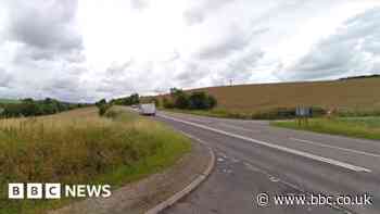 Three ponies killed in crash on A36 in Wiltshire