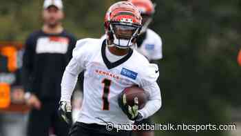 Bengals, Packers to practice together this summer