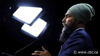 Singh says he won't force an election until confidence in the electoral system is restored