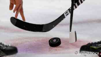 Quebec committee calls for governance changes in major junior hockey in hazing report