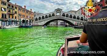 Why the water in Venice's Grand Canal turned bright green