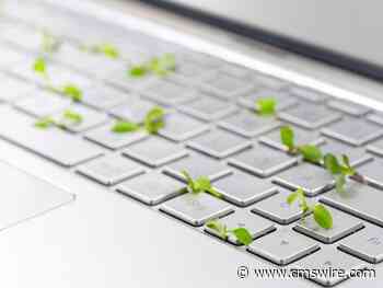Turn It Off & Delete: Tips for Sustainable Laptops, Part 2