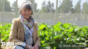 HMP Northumberland: Prison farm shop to sell inmates' produce