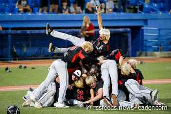Ash Grove baseball caps off perfect season with Class 2 state championship victory