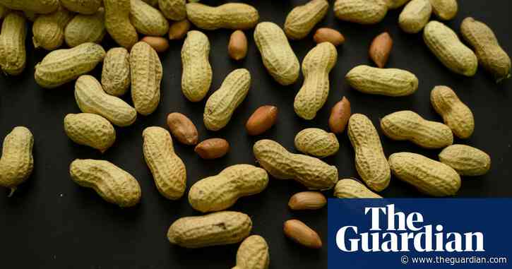 Why are food allergies on the rise and is a cure on the horizon? – podcast