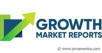 North America Docks Market to Surpass USD 492.45 Million By 2031| Growth Market Reports