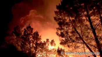 Copernicus-Bericht: Heftige Waldbrände sorgen für Rekordemissionen