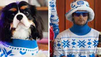 Brewer releases matching jumpers for you, your doggo