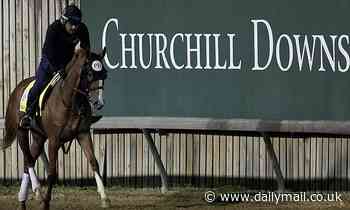 Churchill Downs cancels races after 12 horses died in six weeks