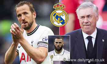 Carlo Ancelotti 'makes PLEA to Real Madrid board to land Harry Kane this summer'