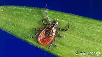 Climate change is fuelling a spike in Lyme disease cases across Canada