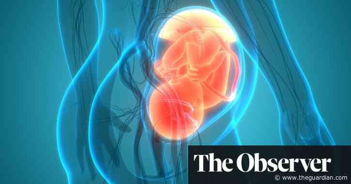 Gene genius: how the placenta project is unlocking the secrets of our cells