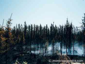 Quebec bars access to forests in bid to subdue fires