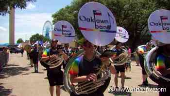 Colorful Array of Advocacy and Allies at Dallas Pride Parade