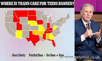 Texas becomes 17th state to ban transgender care for minors