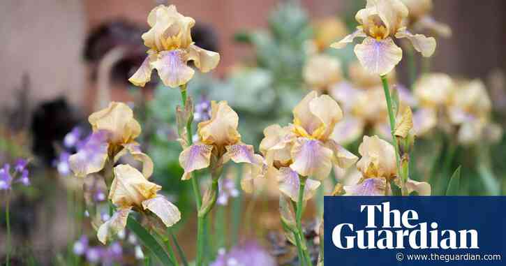 A blooming great way to explore gardens | Brief letters