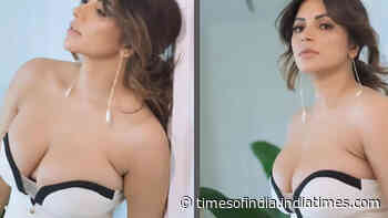Shama Sikander oozes glamour in a plunging neckline dress